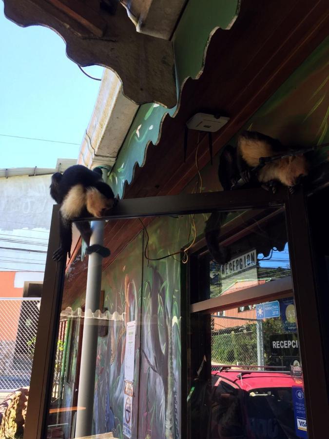 Manakin Lodge, Monteverde Cr Luaran gambar
